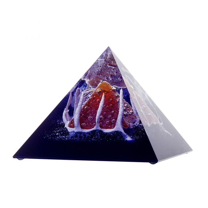 Sceleton 10 x 10 cm
               15 x 15 cm
               25 x 25 cm
